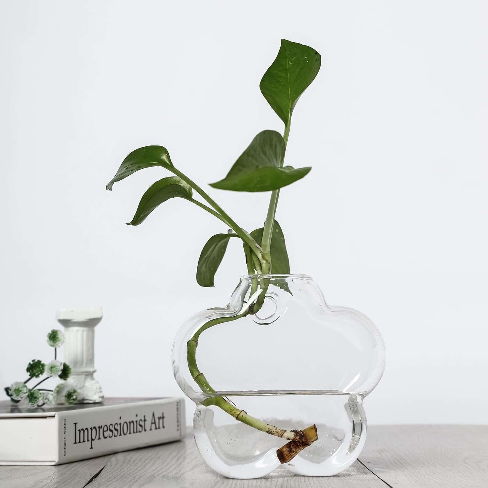 3 - Pack Glass Wall Vase Hanging Flower Shaped Design Indoor Planters - Modern Wall Mounted Terrariums for Living Spaces - Linen Luxes