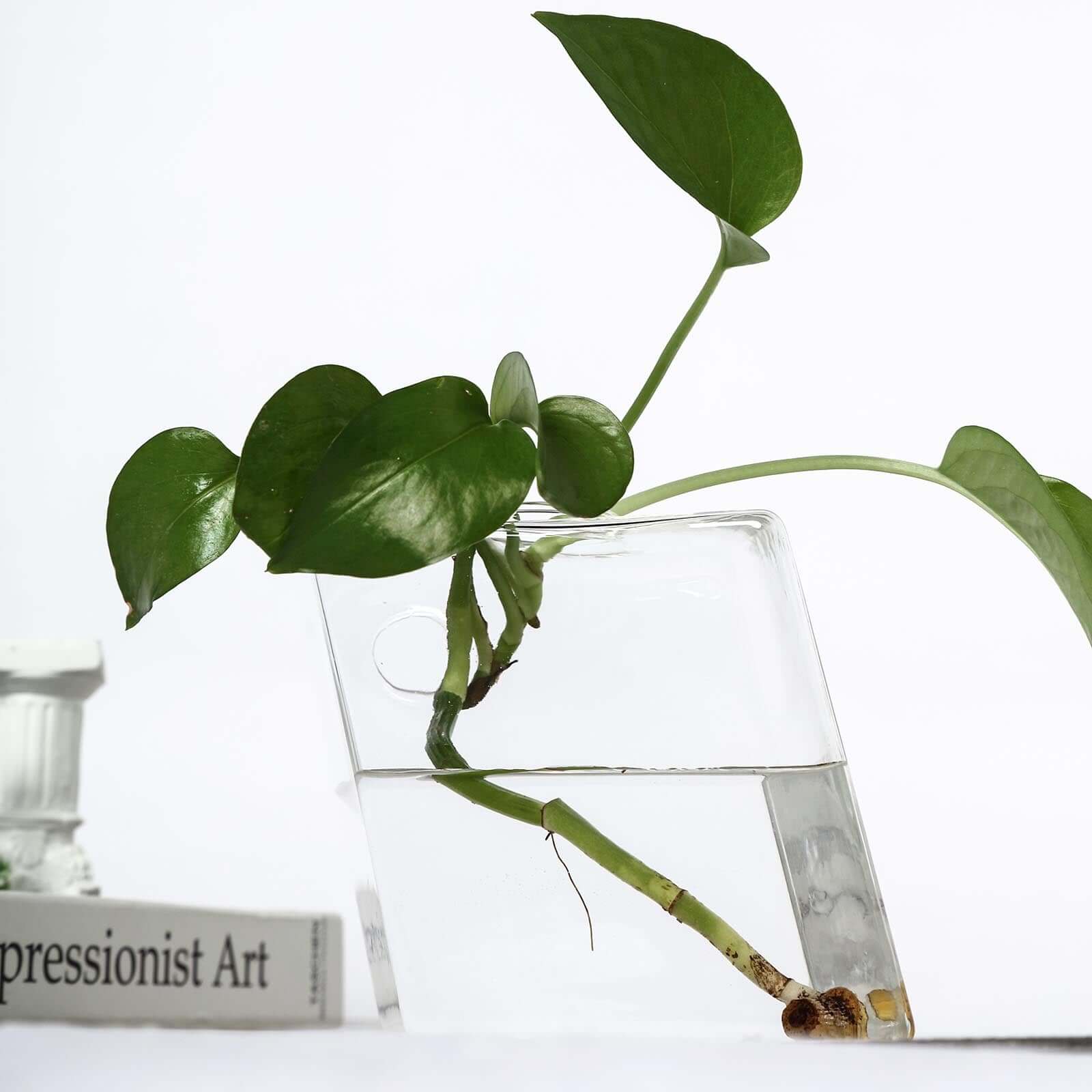 3 - Pack Glass Wall Vase Hanging Rhombus Design Indoor Planters - Modern Wall Mounted Terrariums for Living Spaces - Linen Luxes