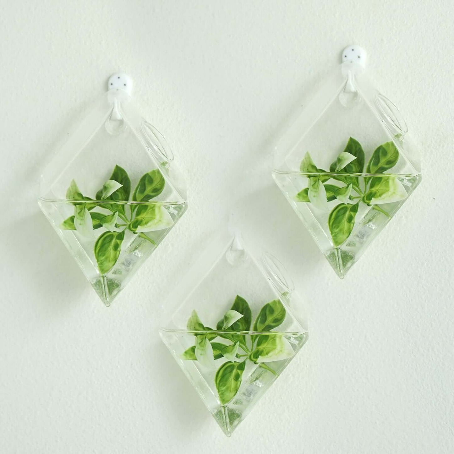 3 - Pack Glass Wall Vase Hanging Rhombus Design Indoor Planters - Modern Wall Mounted Terrariums for Living Spaces - Linen Luxes