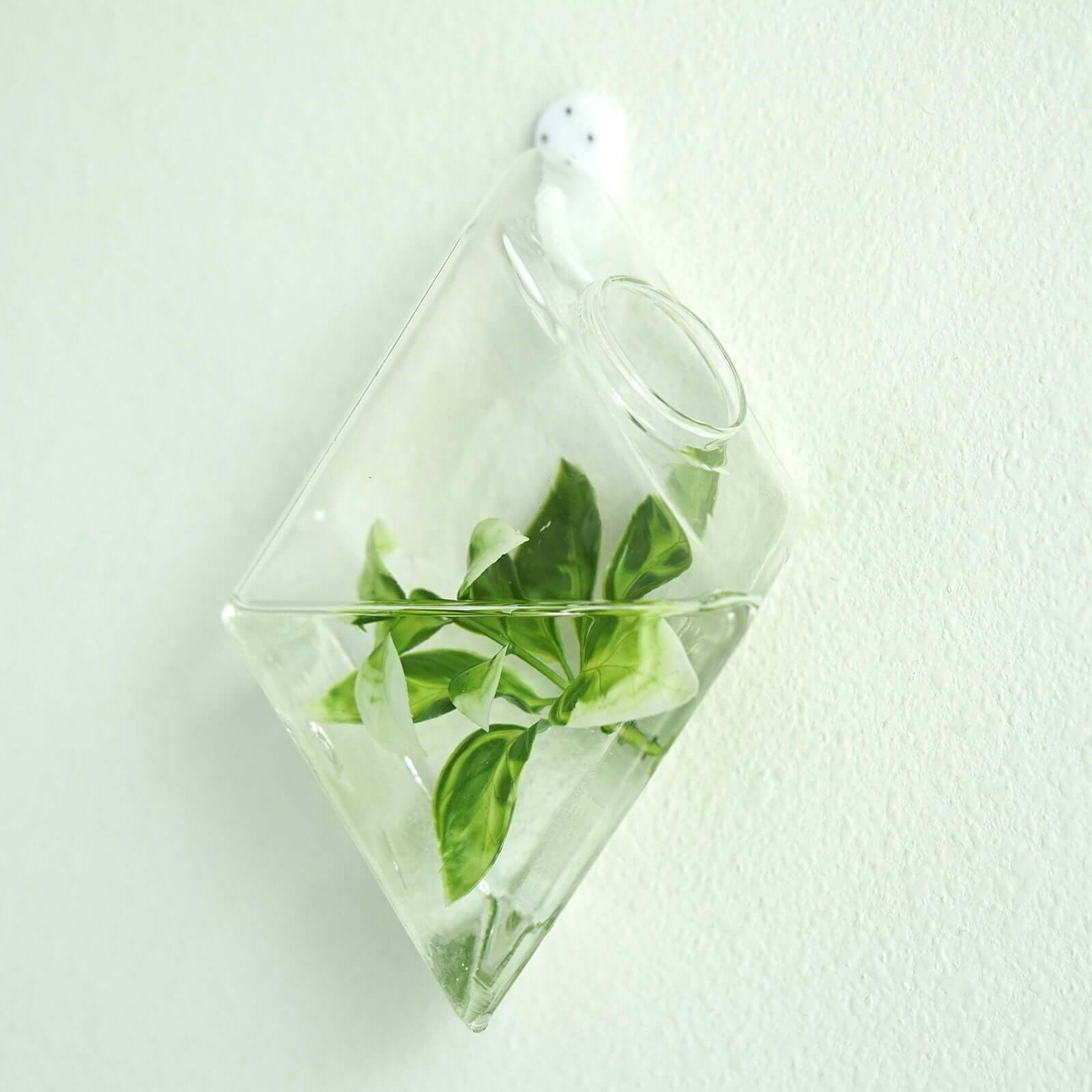 3 - Pack Glass Wall Vase Hanging Rhombus Design Indoor Planters - Modern Wall Mounted Terrariums for Living Spaces - Linen Luxes