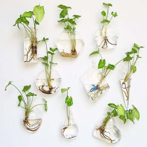 3 - Pack Glass Wall Vase Hanging Rhombus Design Indoor Planters - Modern Wall Mounted Terrariums for Living Spaces - Linen Luxes