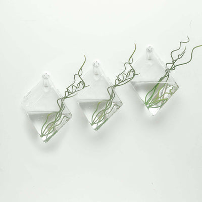 3 - Pack Glass Wall Vase Hanging Rhombus Design Indoor Planters - Modern Wall Mounted Terrariums for Living Spaces - Linen Luxes