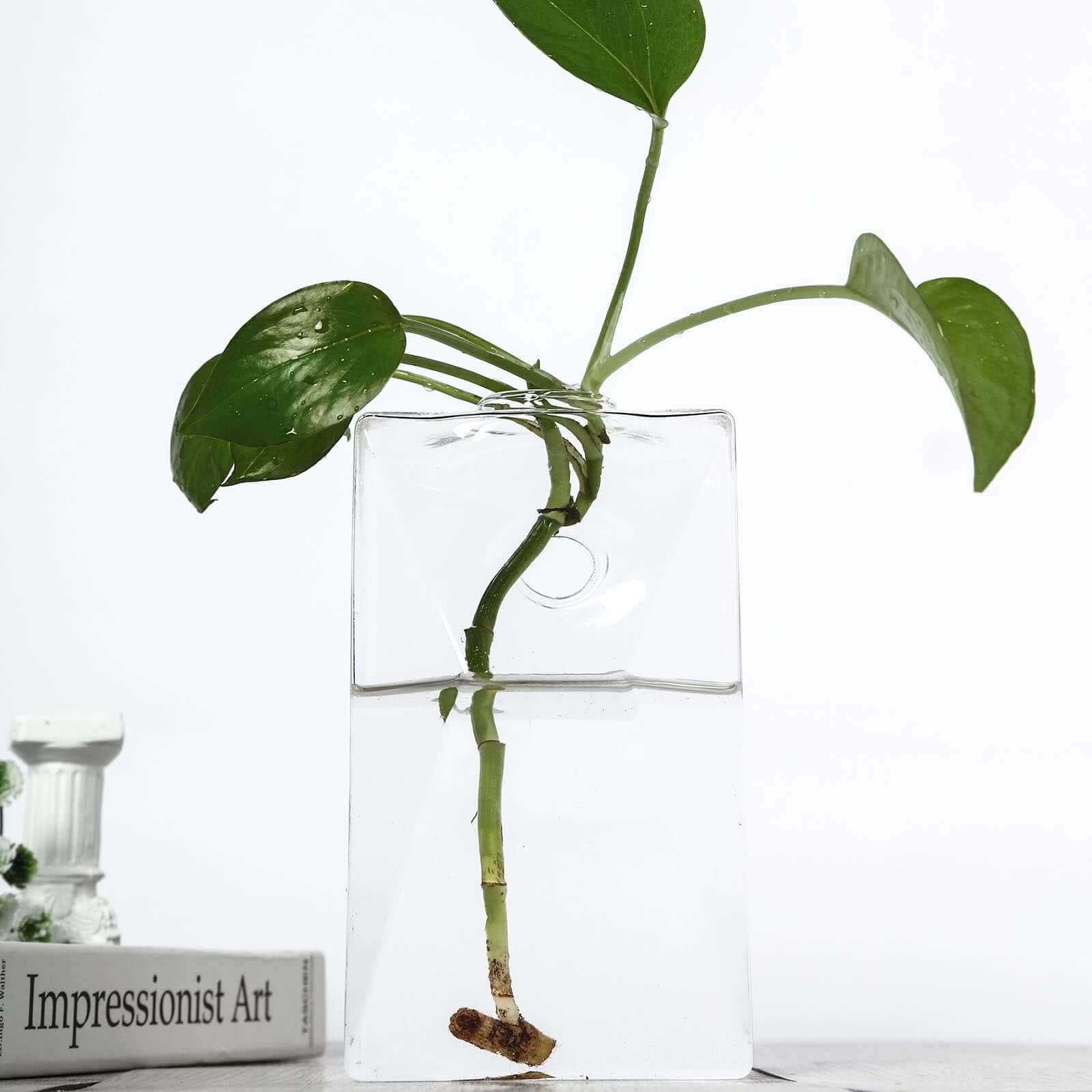 3 - Pack Glass Wall Vase Hanging Trapezoid Design Indoor Planters - Modern Wall Mounted Terrariums for Living Spaces - Linen Luxes