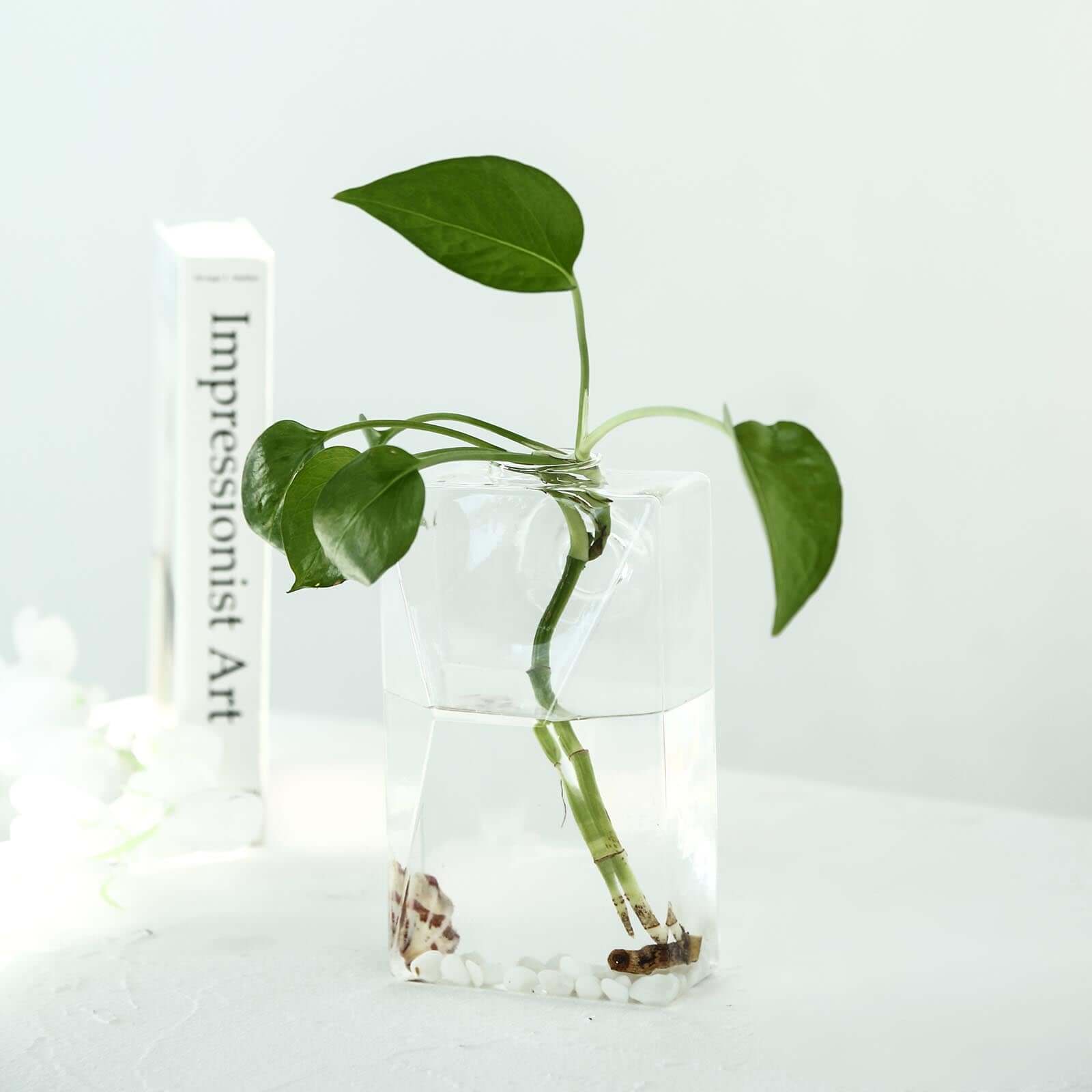 3 - Pack Glass Wall Vase Hanging Trapezoid Design Indoor Planters - Modern Wall Mounted Terrariums for Living Spaces - Linen Luxes