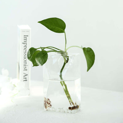 3 - Pack Glass Wall Vase Hanging Trapezoid Design Indoor Planters - Modern Wall Mounted Terrariums for Living Spaces - Linen Luxes