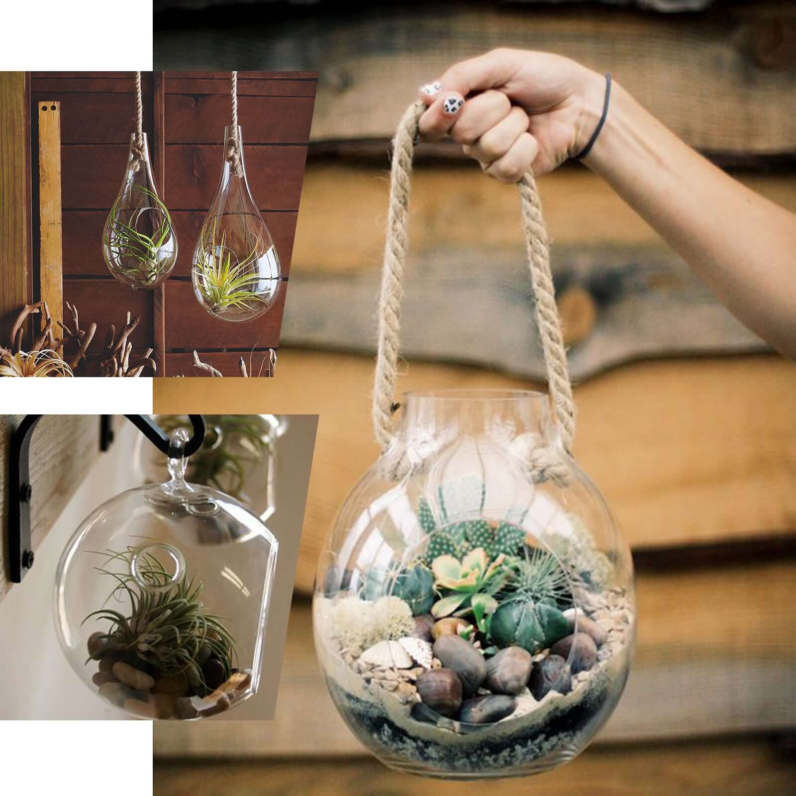 3 - Pack Glass Wall Vase Hanging Trapezoid Design Indoor Planters - Modern Wall Mounted Terrariums for Living Spaces - Linen Luxes