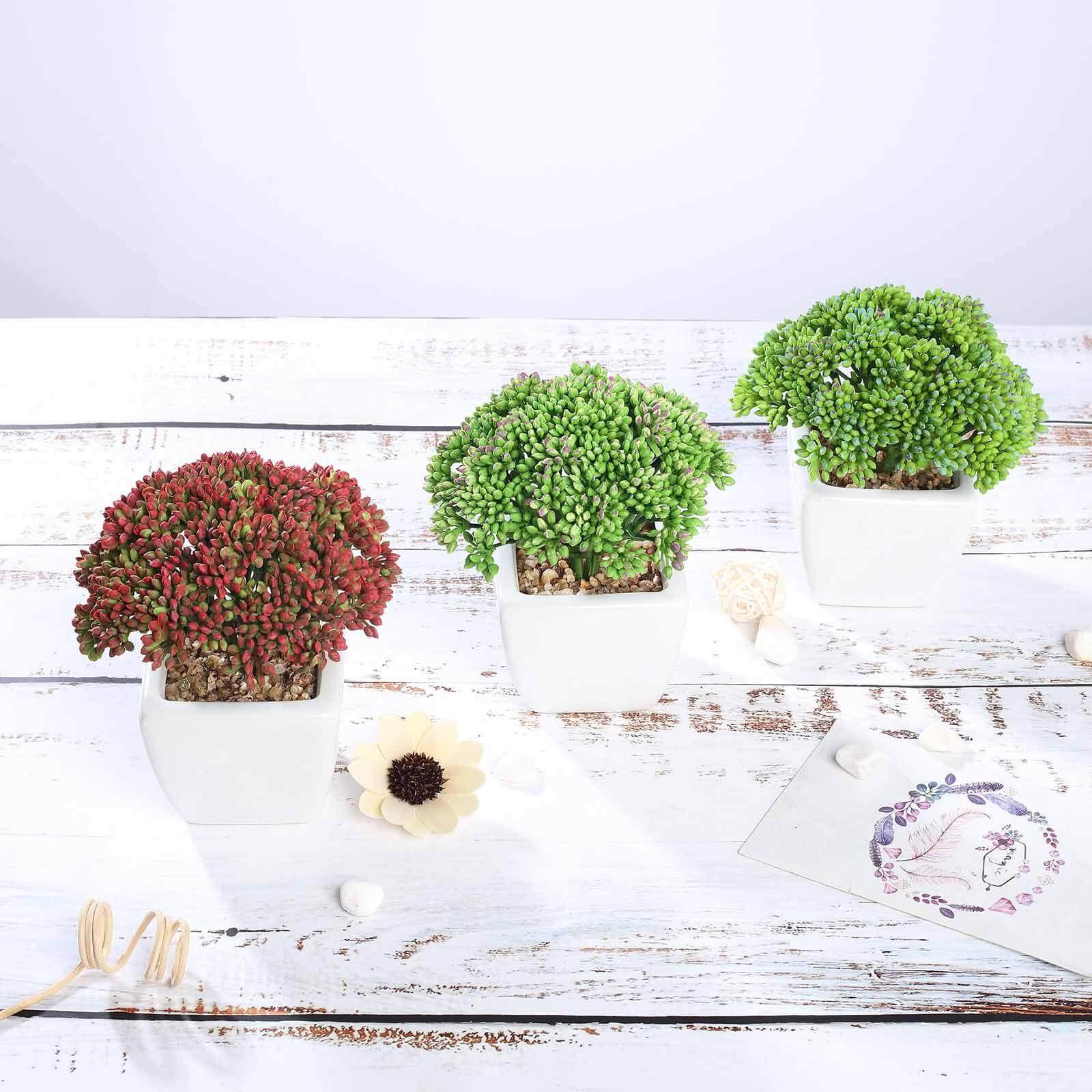 3 - Pack Joy Sedum Artificial Succulents in Ceramic Pots - Lifelike Decorative Faux Plants for Home Office & Event Design 6" - Linen Luxes