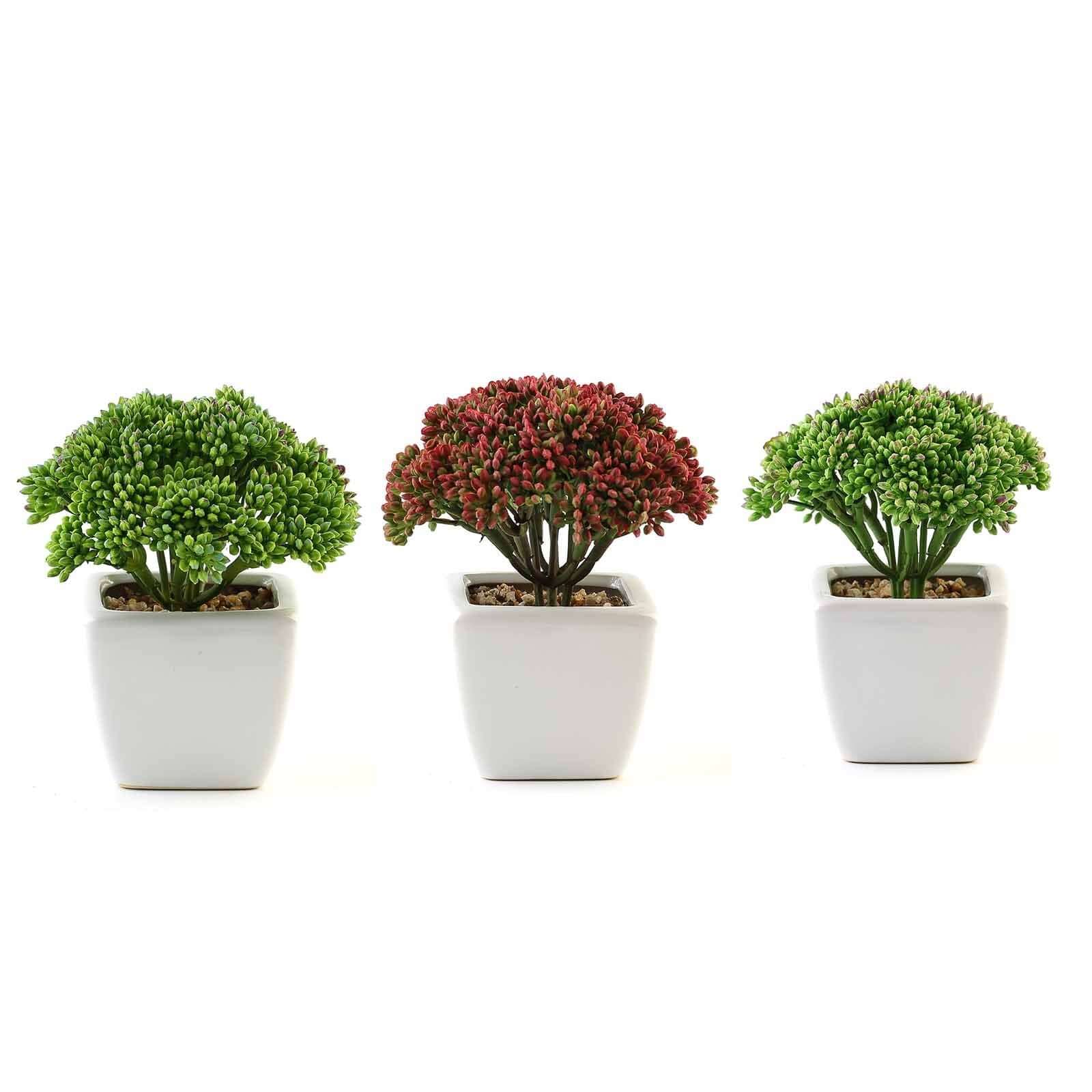 3 - Pack Joy Sedum Artificial Succulents in Ceramic Pots - Lifelike Decorative Faux Plants for Home Office & Event Design 6" - Linen Luxes
