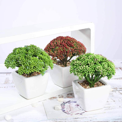3 - Pack Joy Sedum Artificial Succulents in Ceramic Pots - Lifelike Decorative Faux Plants for Home Office & Event Design 6" - Linen Luxes