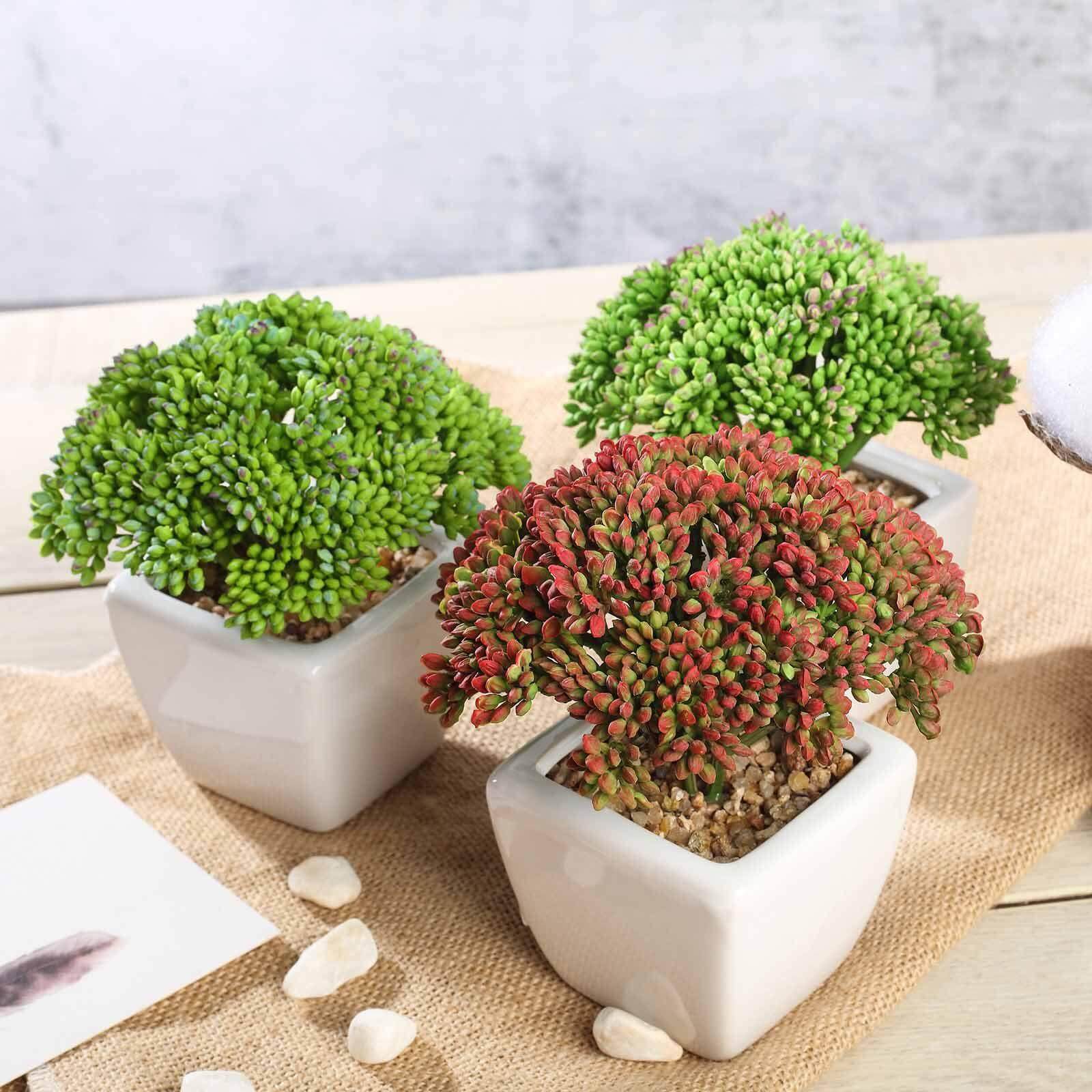3 - Pack Joy Sedum Artificial Succulents in Ceramic Pots - Lifelike Decorative Faux Plants for Home Office & Event Design 6" - Linen Luxes