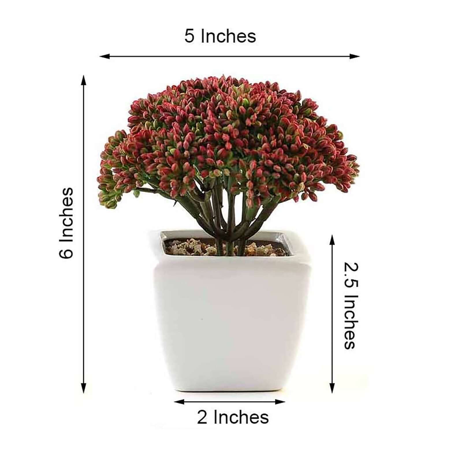 3 - Pack Joy Sedum Artificial Succulents in Ceramic Pots - Lifelike Decorative Faux Plants for Home Office & Event Design 6" - Linen Luxes