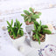 3 - Pack Mini Jade Artificial Succulents in Ceramic Pots - Lifelike Decorative Faux Plants for Home Office & Event Design 3" - Linen Luxes