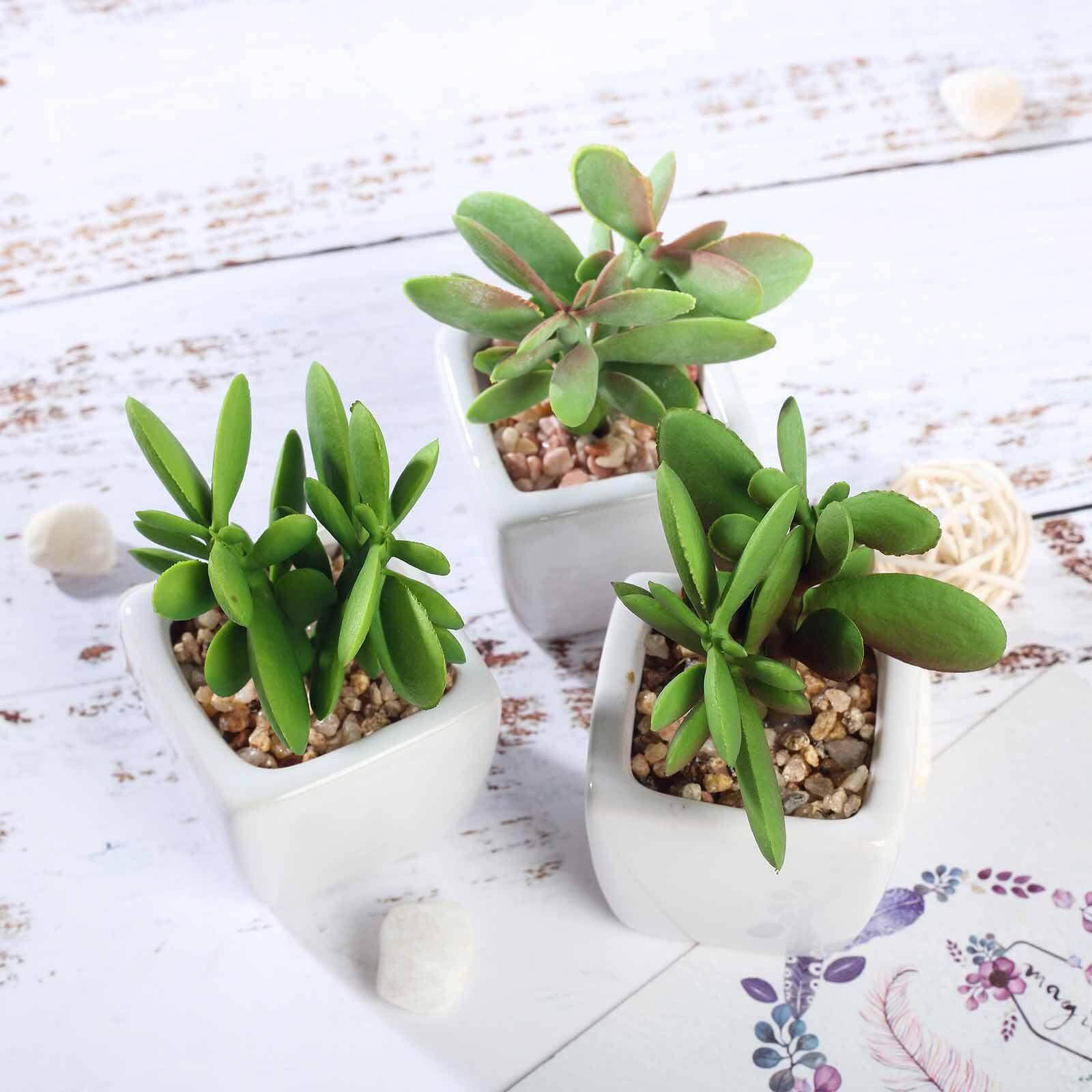 3 - Pack Mini Jade Artificial Succulents in Ceramic Pots - Lifelike Decorative Faux Plants for Home Office & Event Design 3" - Linen Luxes