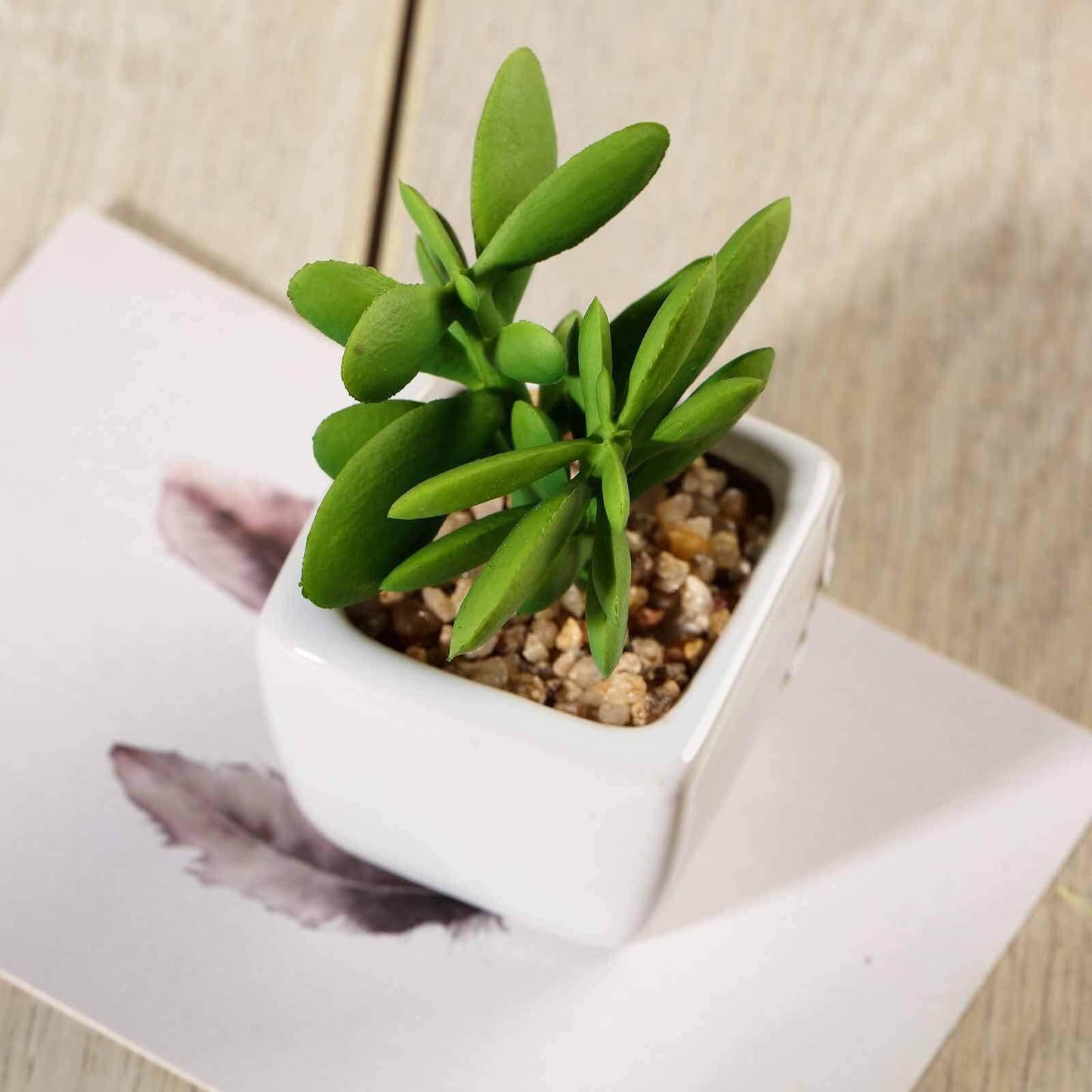 3 - Pack Mini Jade Artificial Succulents in Ceramic Pots - Lifelike Decorative Faux Plants for Home Office & Event Design 3" - Linen Luxes