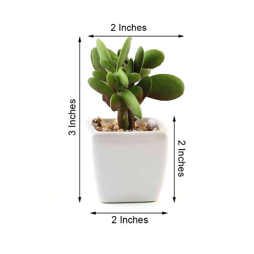 3 - Pack Mini Jade Artificial Succulents in Ceramic Pots - Lifelike Decorative Faux Plants for Home Office & Event Design 3" - Linen Luxes