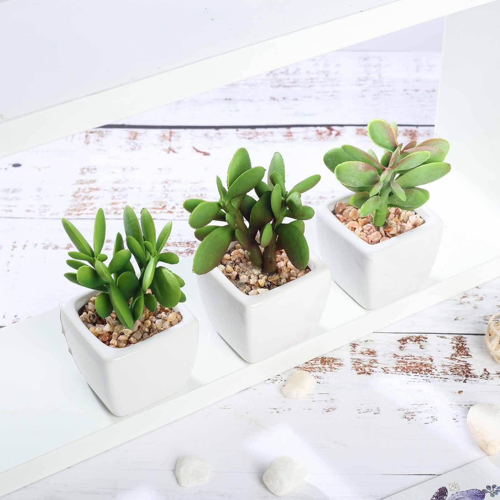 3 - Pack Mini Jade Artificial Succulents in Ceramic Pots - Lifelike Decorative Faux Plants for Home Office & Event Design 3" - Linen Luxes