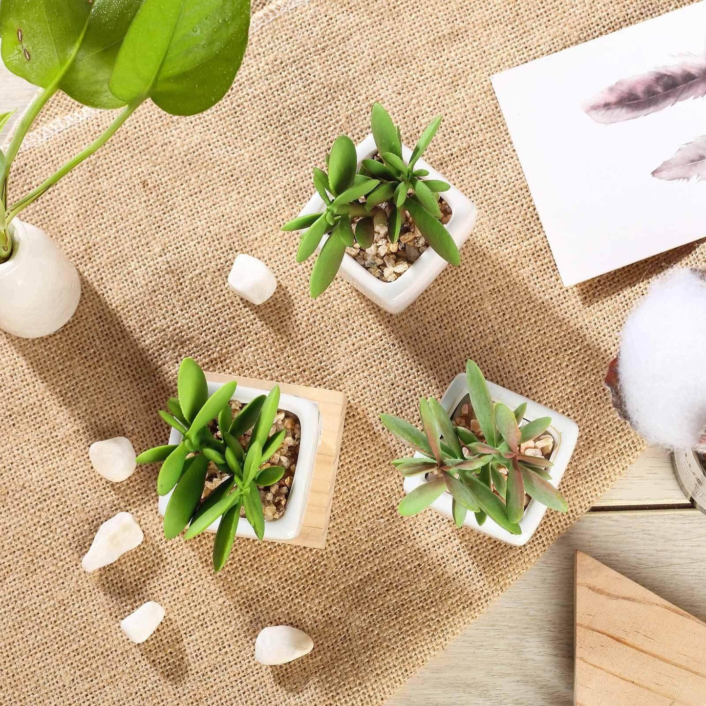 3 - Pack Mini Jade Artificial Succulents in Ceramic Pots - Lifelike Decorative Faux Plants for Home Office & Event Design 3" - Linen Luxes