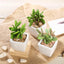 3 - Pack Mini Jade Artificial Succulents in Ceramic Pots - Lifelike Decorative Faux Plants for Home Office & Event Design 3" - Linen Luxes