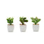 3 - Pack Mini Jade Artificial Succulents in Ceramic Pots - Lifelike Decorative Faux Plants for Home Office & Event Design 3" - Linen Luxes