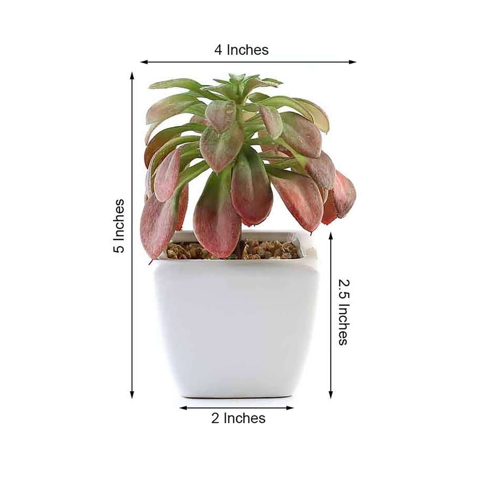 3 - Pack Minibelle, Elegans & Grassneri Artificial Succulents in Ceramic Pot - Lifelike Decorative Faux Plants for Home Office & Event Design 5" - Linen Luxes