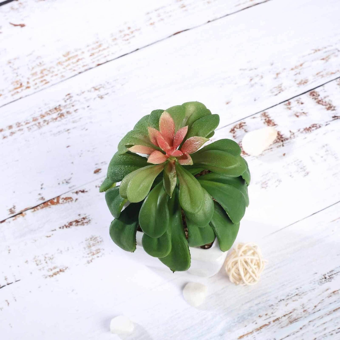 3 - Pack Minibelle, Elegans & Grassneri Artificial Succulents in Ceramic Pot - Lifelike Decorative Faux Plants for Home Office & Event Design 5" - Linen Luxes