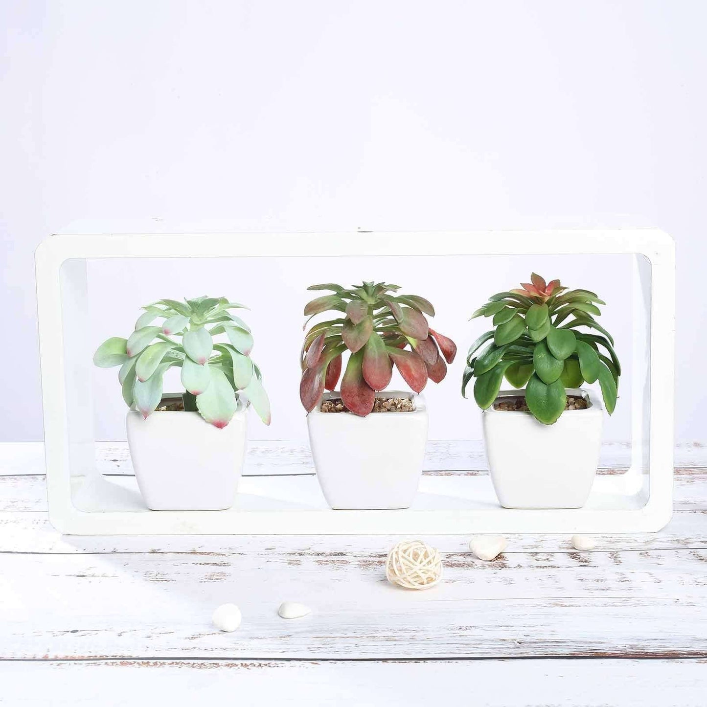 3 - Pack Minibelle, Elegans & Grassneri Artificial Succulents in Ceramic Pot - Lifelike Decorative Faux Plants for Home Office & Event Design 5" - Linen Luxes