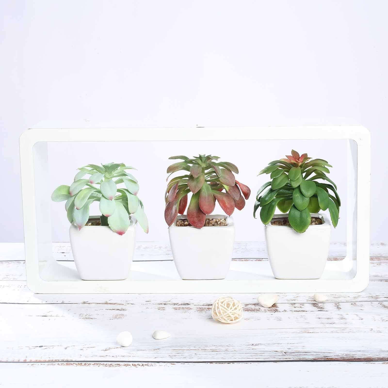 3 - Pack Minibelle, Elegans & Grassneri Artificial Succulents in Ceramic Pot - Lifelike Decorative Faux Plants for Home Office & Event Design 5" - Linen Luxes
