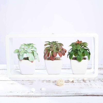 3 - Pack Minibelle, Elegans & Grassneri Artificial Succulents in Ceramic Pot - Lifelike Decorative Faux Plants for Home Office & Event Design 5" - Linen Luxes
