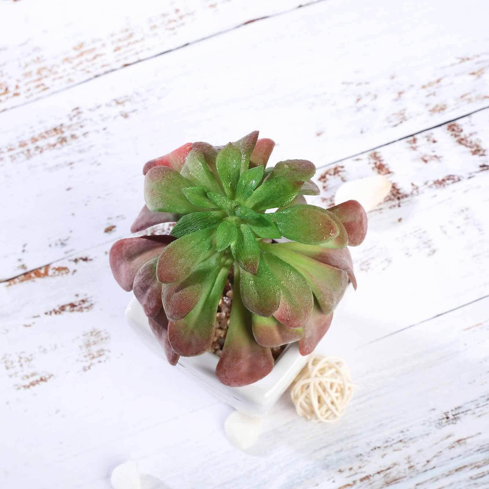 3 - Pack Minibelle, Elegans & Grassneri Artificial Succulents in Ceramic Pot - Lifelike Decorative Faux Plants for Home Office & Event Design 5" - Linen Luxes