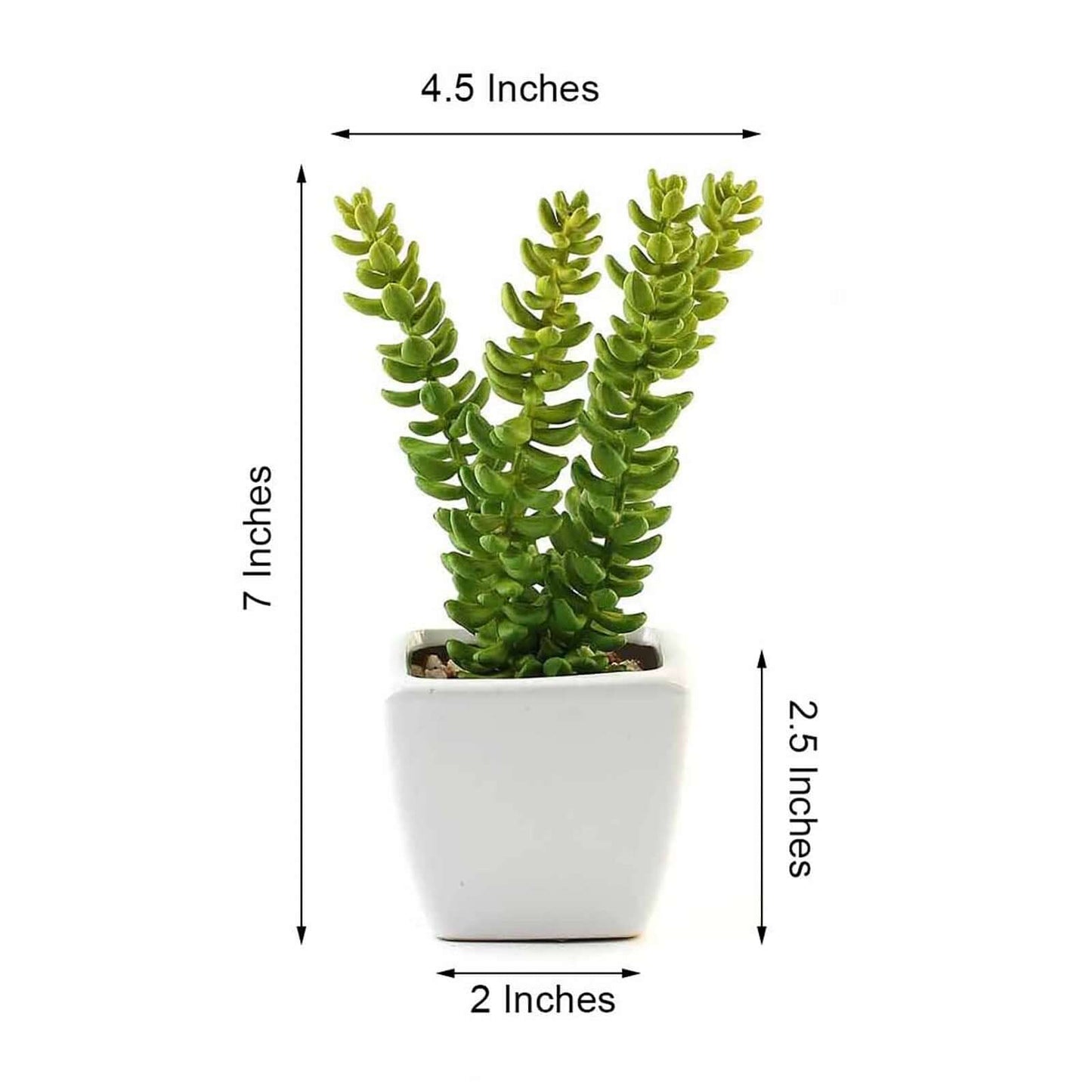 3 - Pack Sedum Artificial Succulents in Ceramic Pot - Lifelike Decorative Faux Plants for Home Office & Event Design 8" - Linen Luxes
