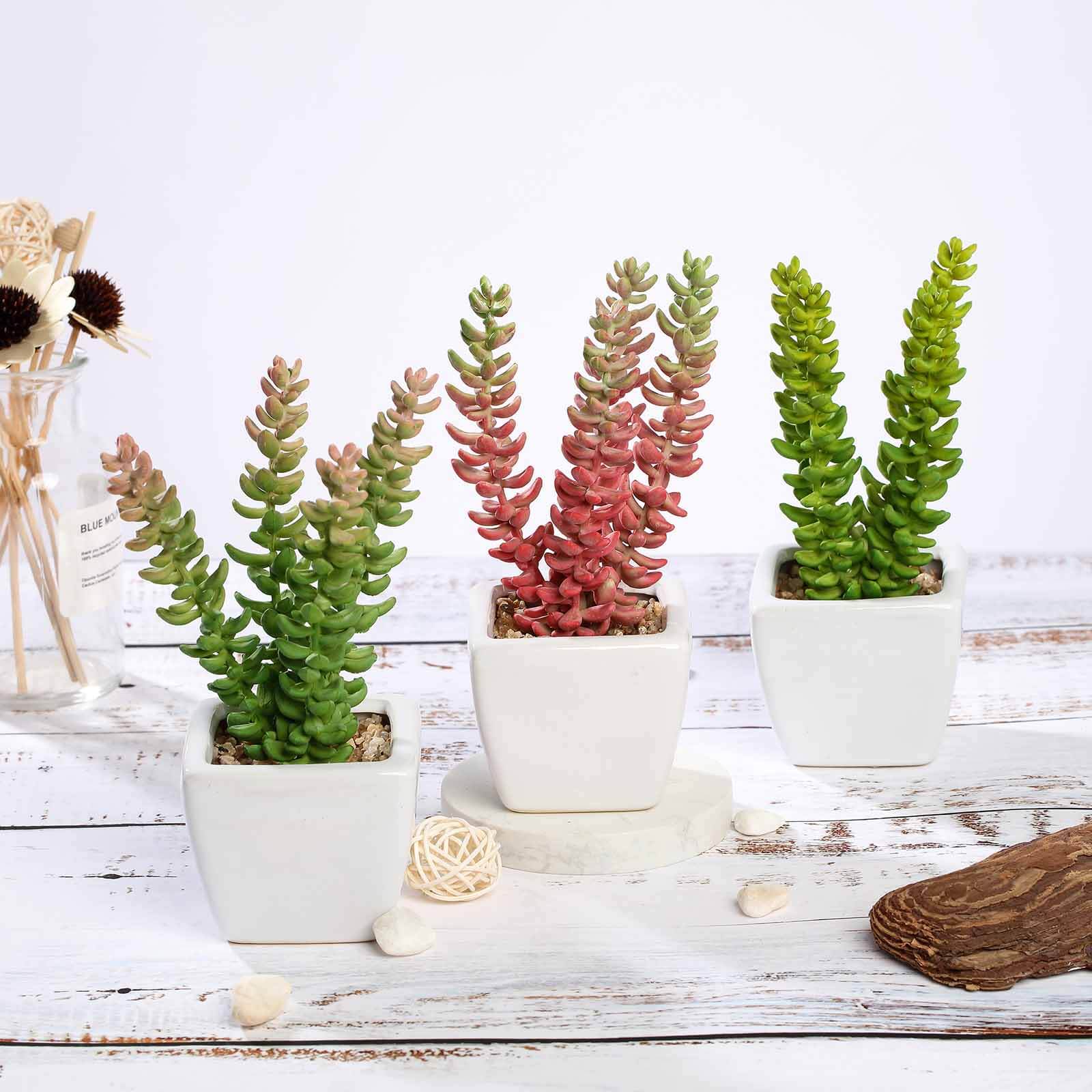3 - Pack Sedum Artificial Succulents in Ceramic Pot - Lifelike Decorative Faux Plants for Home Office & Event Design 8" - Linen Luxes