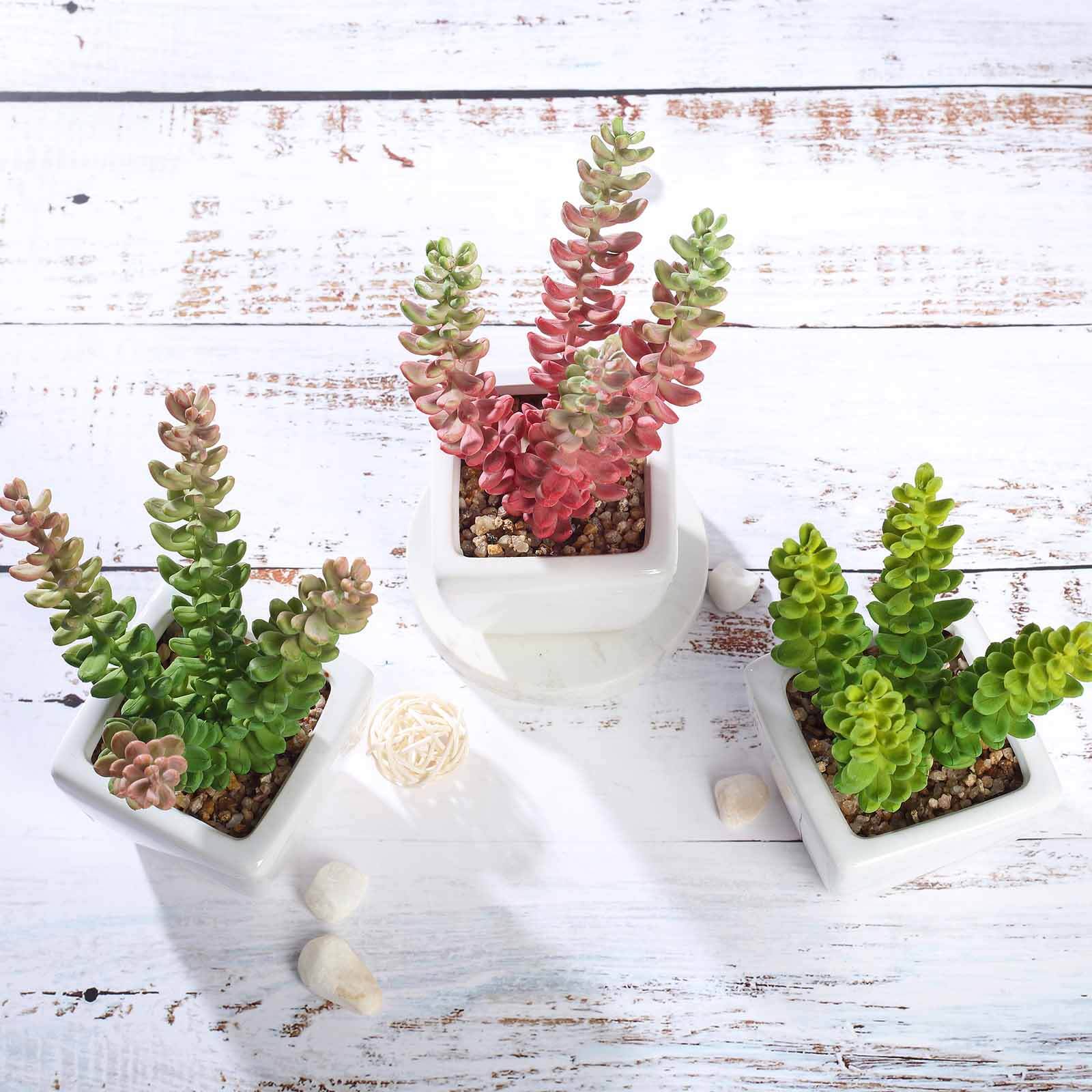 3 - Pack Sedum Artificial Succulents in Ceramic Pot - Lifelike Decorative Faux Plants for Home Office & Event Design 8" - Linen Luxes