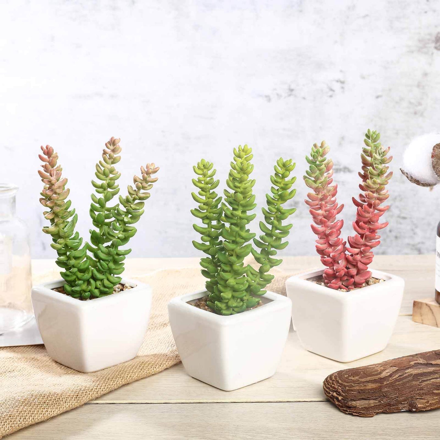 3 - Pack Sedum Artificial Succulents in Ceramic Pot - Lifelike Decorative Faux Plants for Home Office & Event Design 8" - Linen Luxes