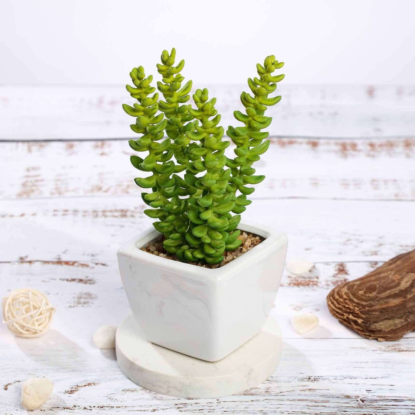 3 - Pack Sedum Artificial Succulents in Ceramic Pot - Lifelike Decorative Faux Plants for Home Office & Event Design 8" - Linen Luxes