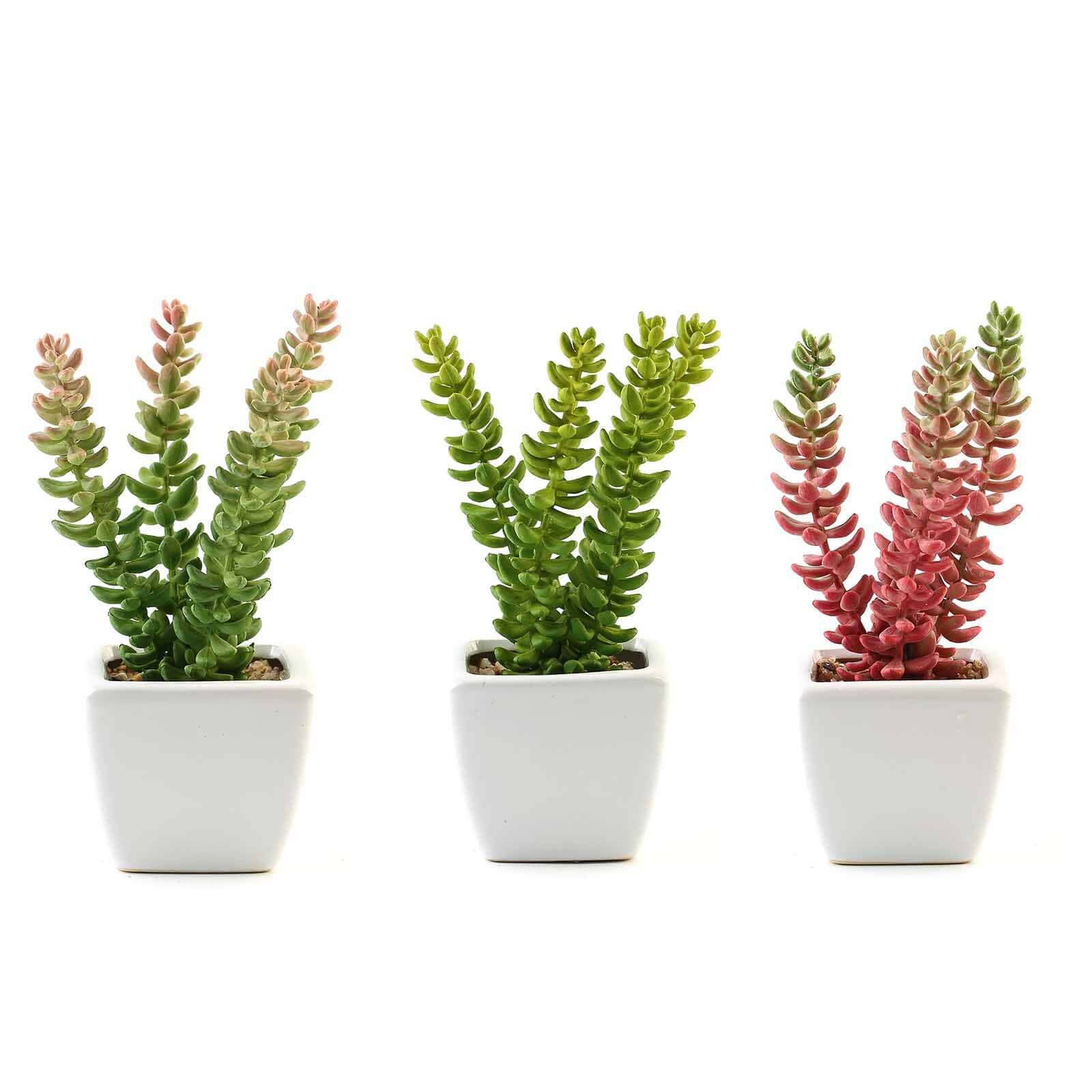 3 - Pack Sedum Artificial Succulents in Ceramic Pot - Lifelike Decorative Faux Plants for Home Office & Event Design 8" - Linen Luxes