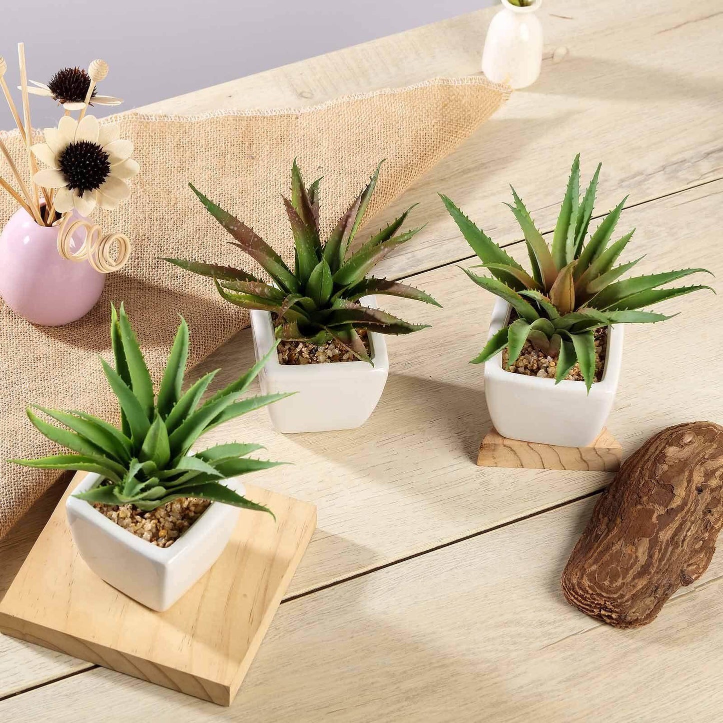 3 - Pack Spotted Aloe Vera Artificial Succulents in Ceramic Pot - Lifelike Decorative Faux Plants for Home Office & Event Design 5" - Linen Luxes
