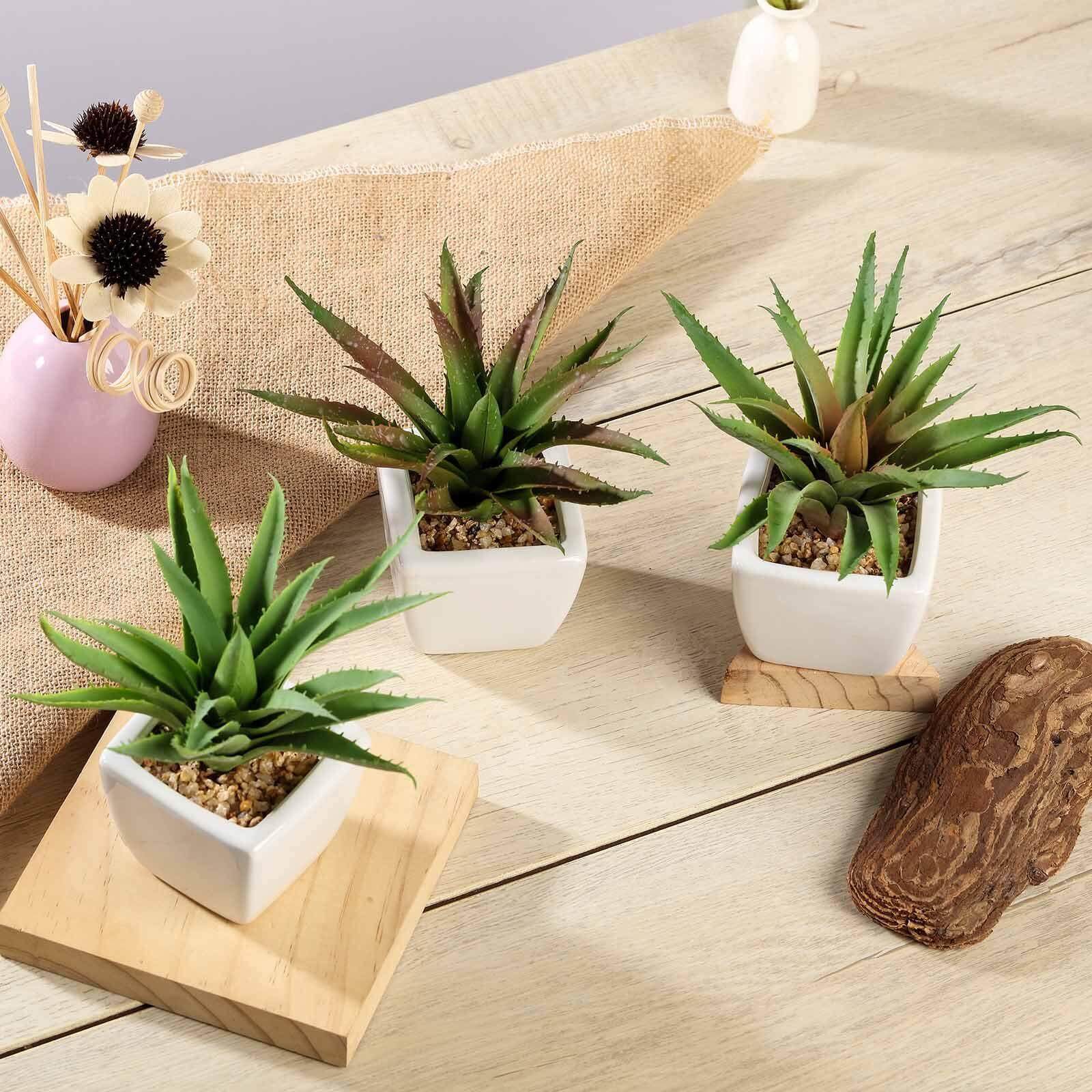 3 - Pack Spotted Aloe Vera Artificial Succulents in Ceramic Pot - Lifelike Decorative Faux Plants for Home Office & Event Design 5" - Linen Luxes
