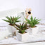 3 - Pack Spotted Aloe Vera Artificial Succulents in Ceramic Pot - Lifelike Decorative Faux Plants for Home Office & Event Design 5" - Linen Luxes