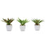 3 - Pack Spotted Aloe Vera Artificial Succulents in Ceramic Pot - Lifelike Decorative Faux Plants for Home Office & Event Design 5" - Linen Luxes