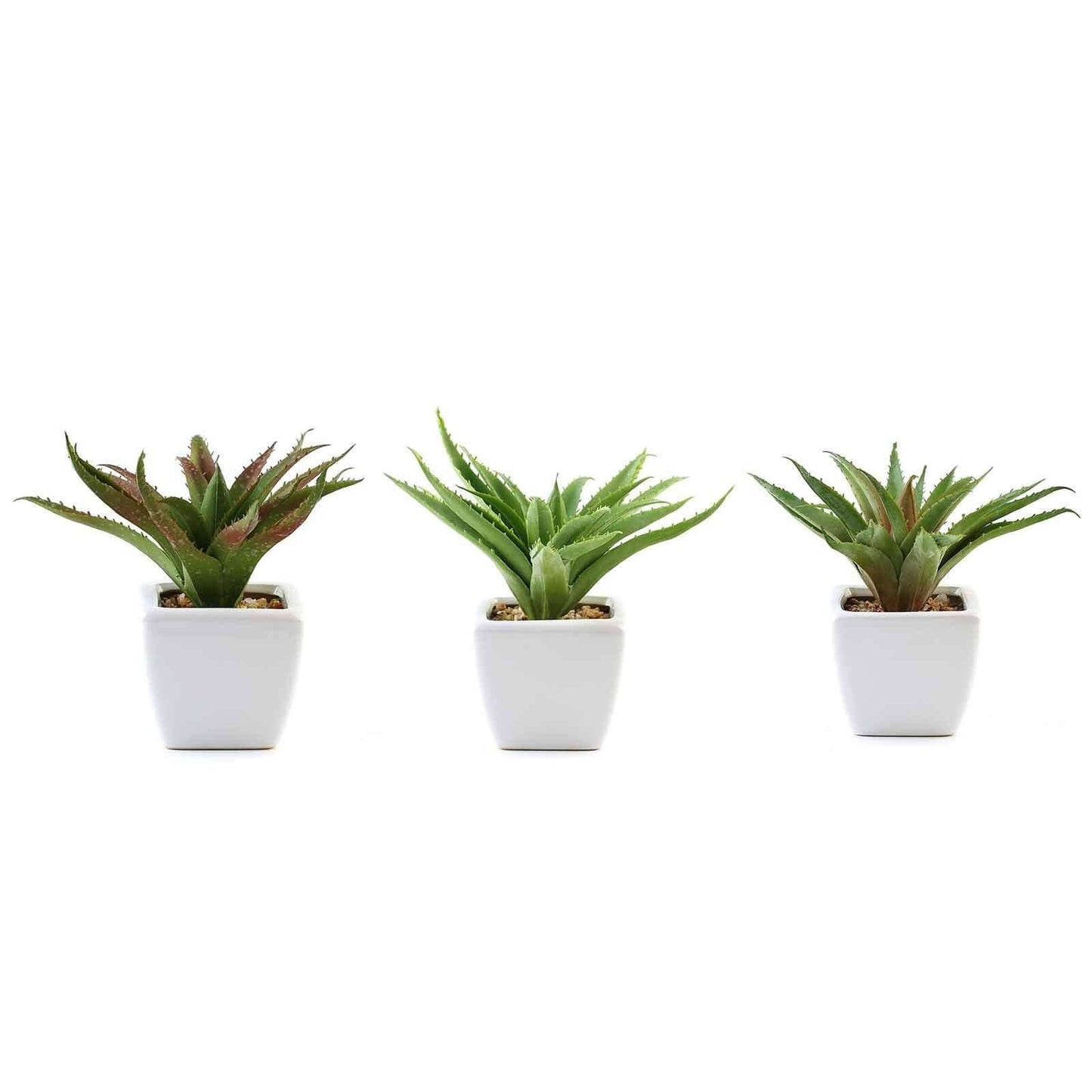 3 - Pack Spotted Aloe Vera Artificial Succulents in Ceramic Pot - Lifelike Decorative Faux Plants for Home Office & Event Design 5" - Linen Luxes