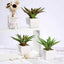 3 - Pack Spotted Aloe Vera Artificial Succulents in Ceramic Pot - Lifelike Decorative Faux Plants for Home Office & Event Design 5" - Linen Luxes