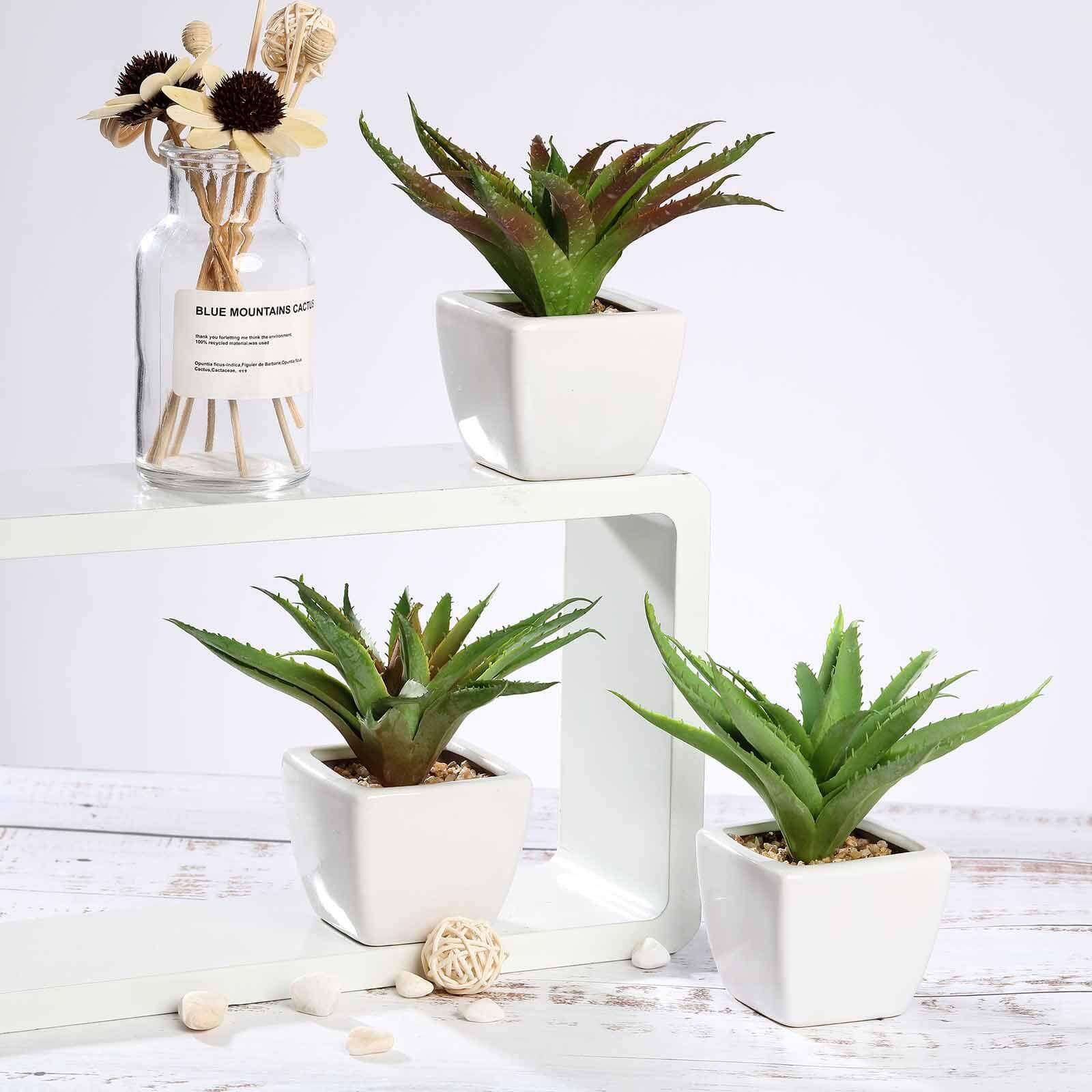 3 - Pack Spotted Aloe Vera Artificial Succulents in Ceramic Pot - Lifelike Decorative Faux Plants for Home Office & Event Design 5" - Linen Luxes