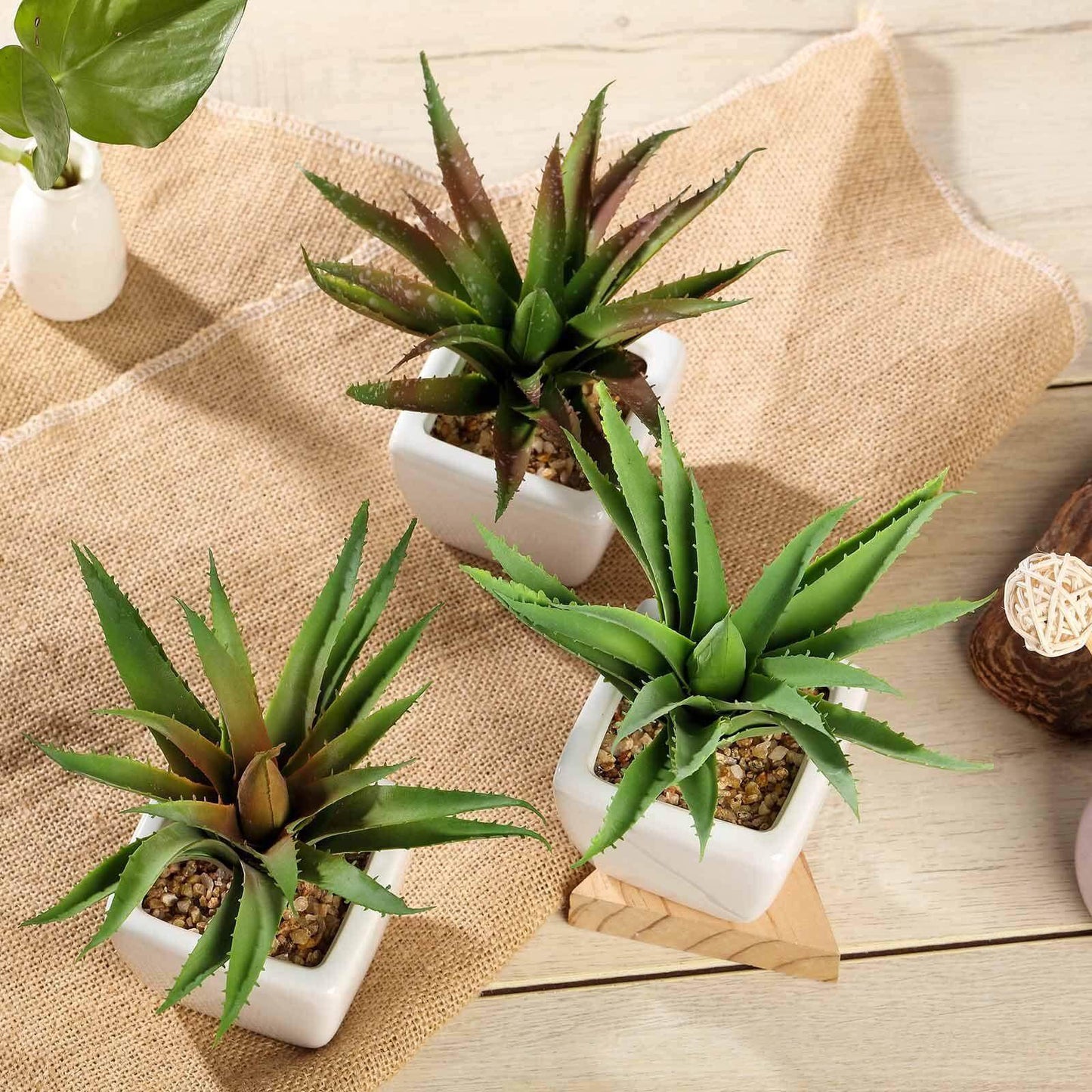 3 - Pack Spotted Aloe Vera Artificial Succulents in Ceramic Pot - Lifelike Decorative Faux Plants for Home Office & Event Design 5" - Linen Luxes