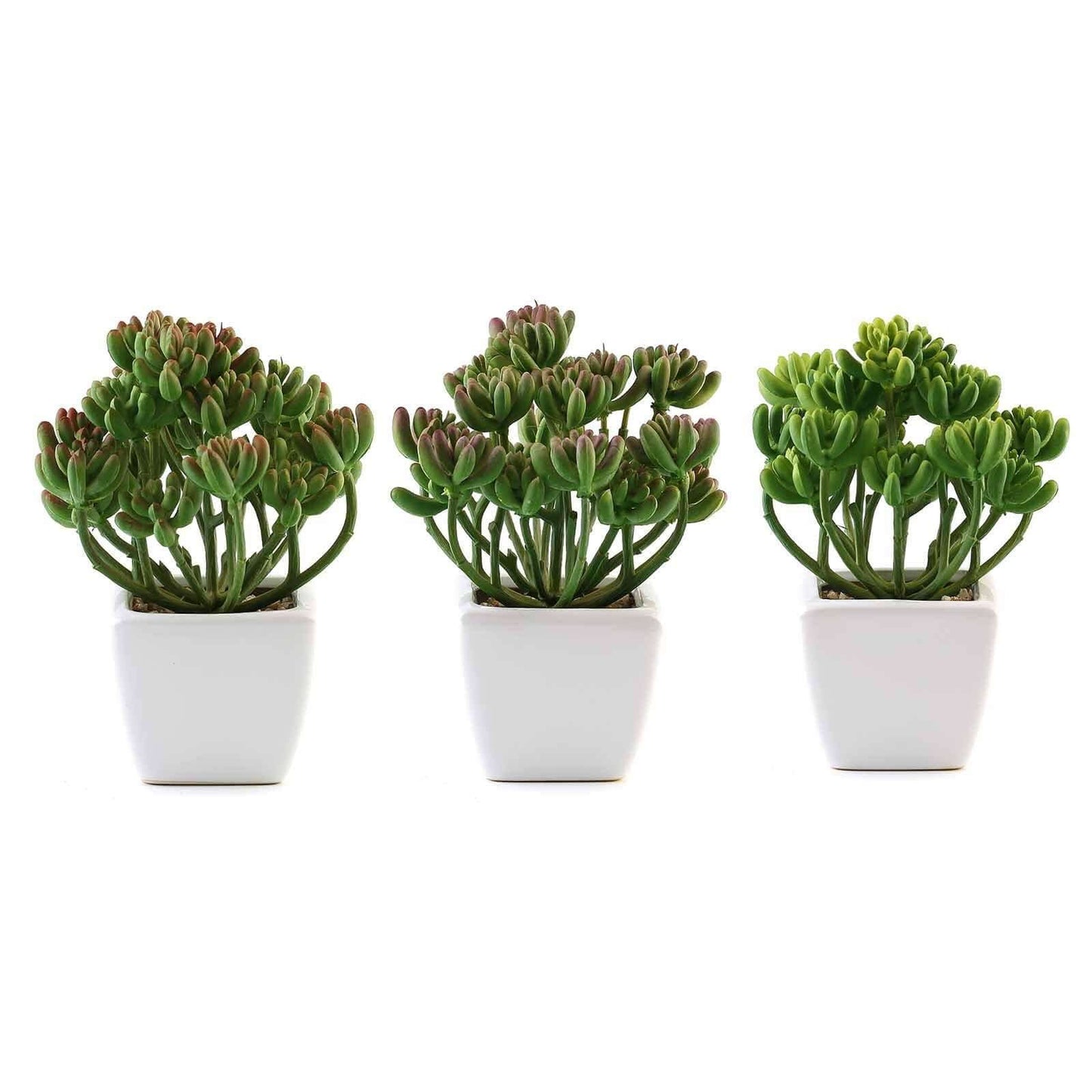 3 - Pack Stonecrop Artificial Succulents in Ceramic Pots - Lifelike Decorative Faux Plants for Home Office & Event Design 7" - Linen Luxes