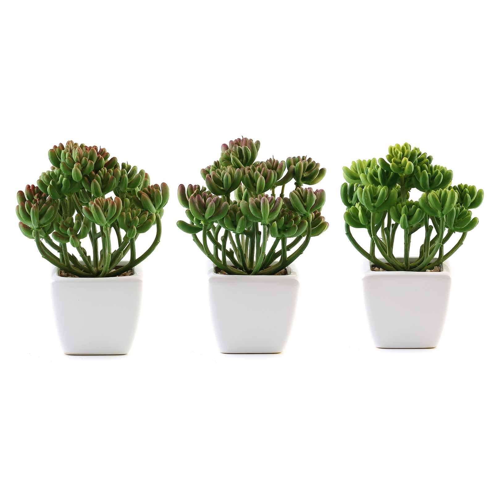 3 - Pack Stonecrop Artificial Succulents in Ceramic Pots - Lifelike Decorative Faux Plants for Home Office & Event Design 7" - Linen Luxes