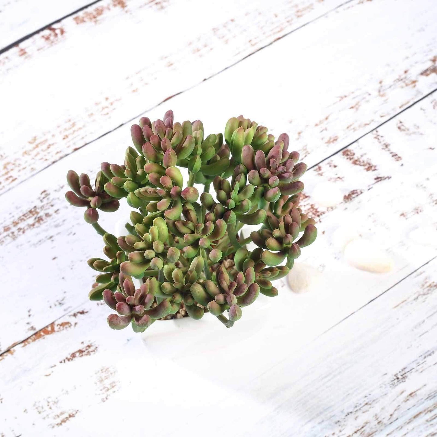 3 - Pack Stonecrop Artificial Succulents in Ceramic Pots - Lifelike Decorative Faux Plants for Home Office & Event Design 7" - Linen Luxes