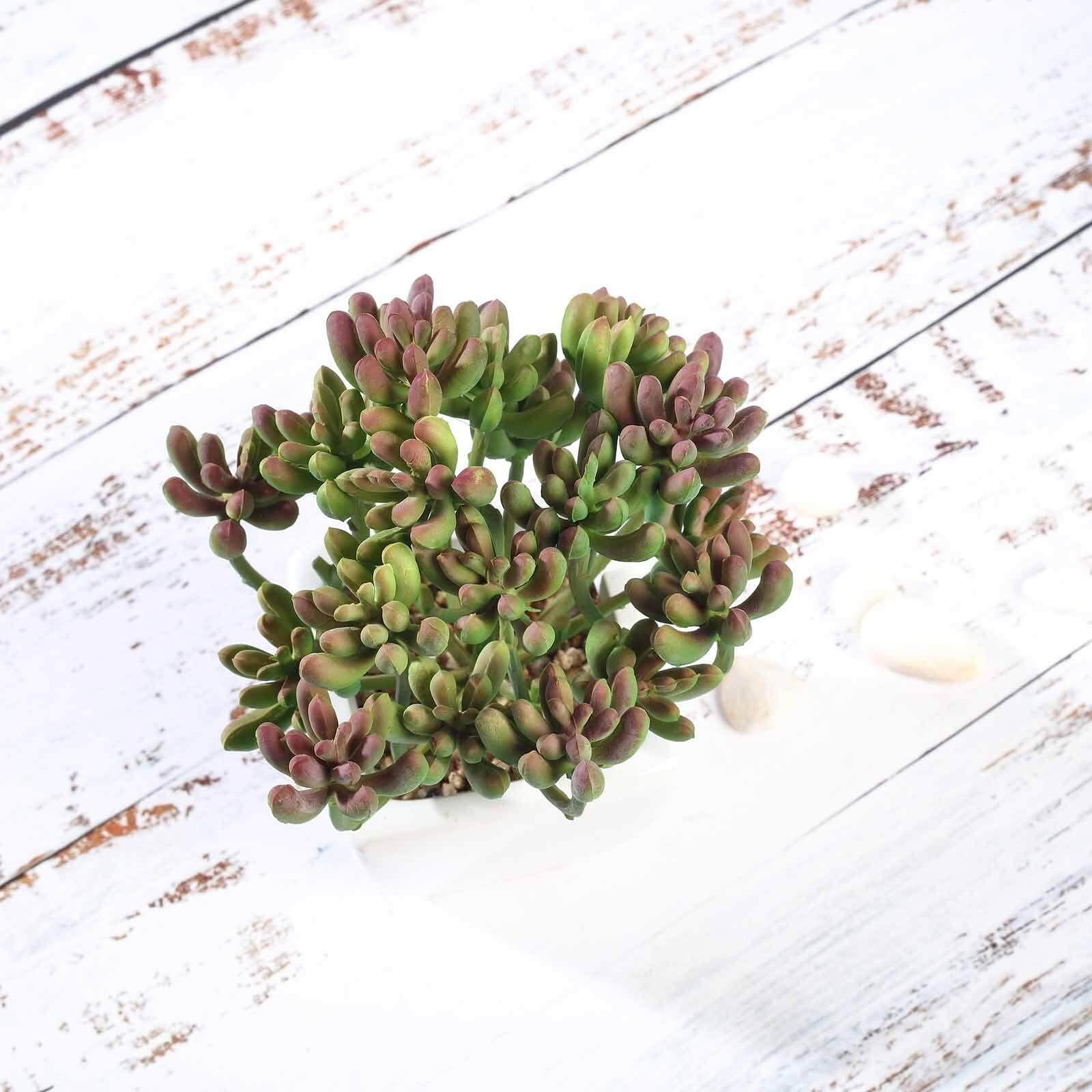 3 - Pack Stonecrop Artificial Succulents in Ceramic Pots - Lifelike Decorative Faux Plants for Home Office & Event Design 7" - Linen Luxes