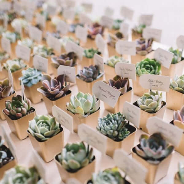 3 - Pack Stonecrop Artificial Succulents in Ceramic Pots - Lifelike Decorative Faux Plants for Home Office & Event Design 7" - Linen Luxes