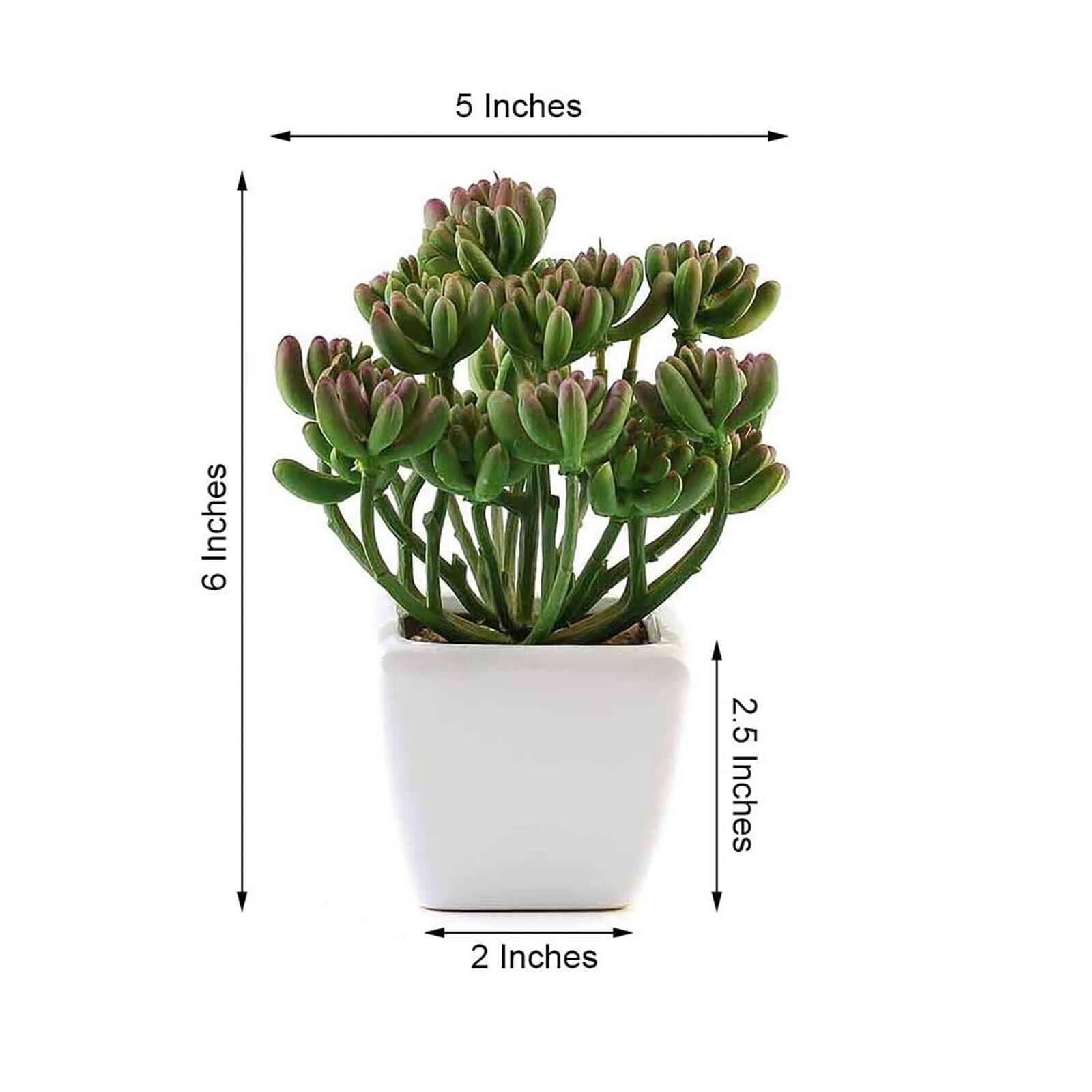 3 - Pack Stonecrop Artificial Succulents in Ceramic Pots - Lifelike Decorative Faux Plants for Home Office & Event Design 7" - Linen Luxes