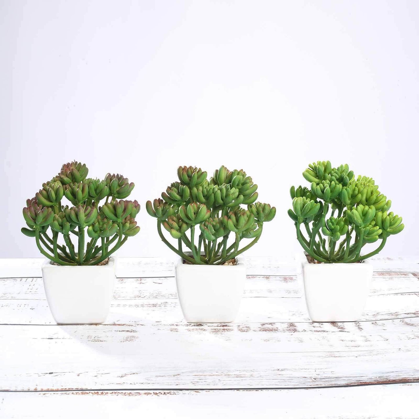 3 - Pack Stonecrop Artificial Succulents in Ceramic Pots - Lifelike Decorative Faux Plants for Home Office & Event Design 7" - Linen Luxes